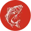 金讚鱸魚湯